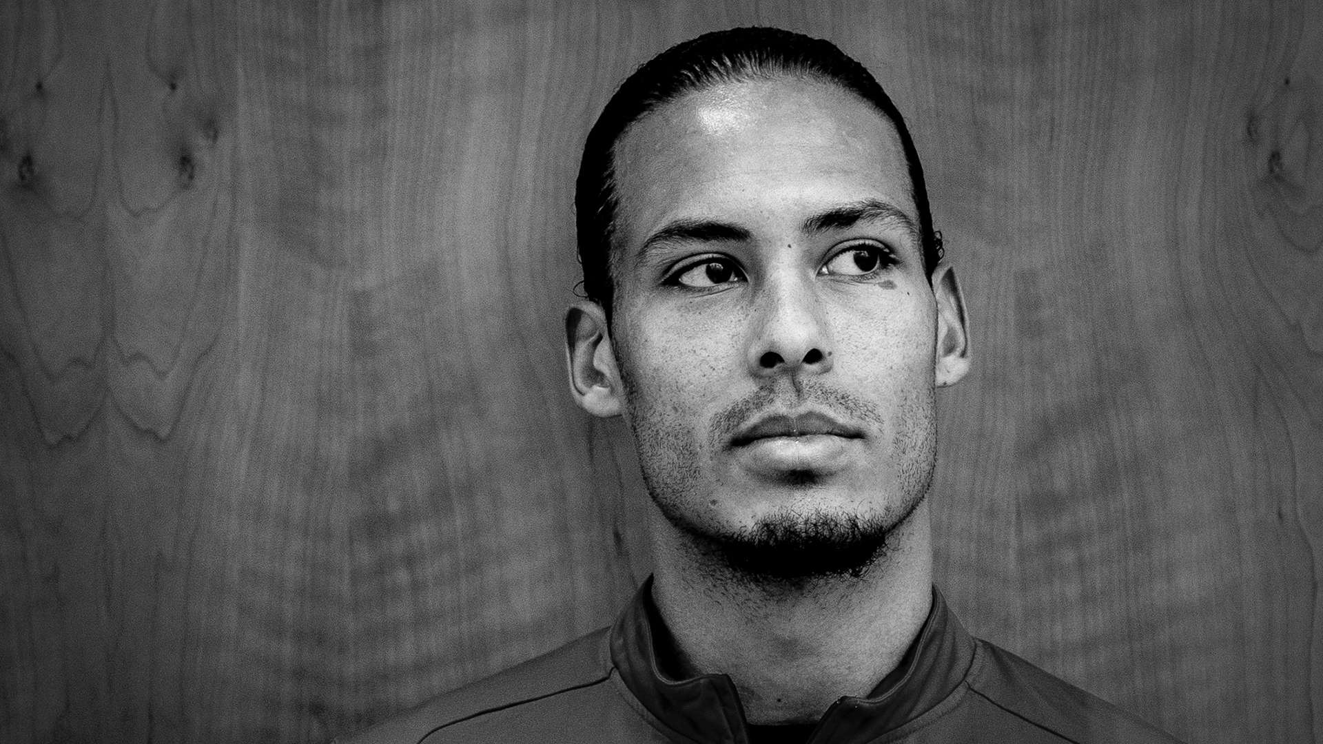 讓鵜鶘戰績 讓鵜鶘戰績