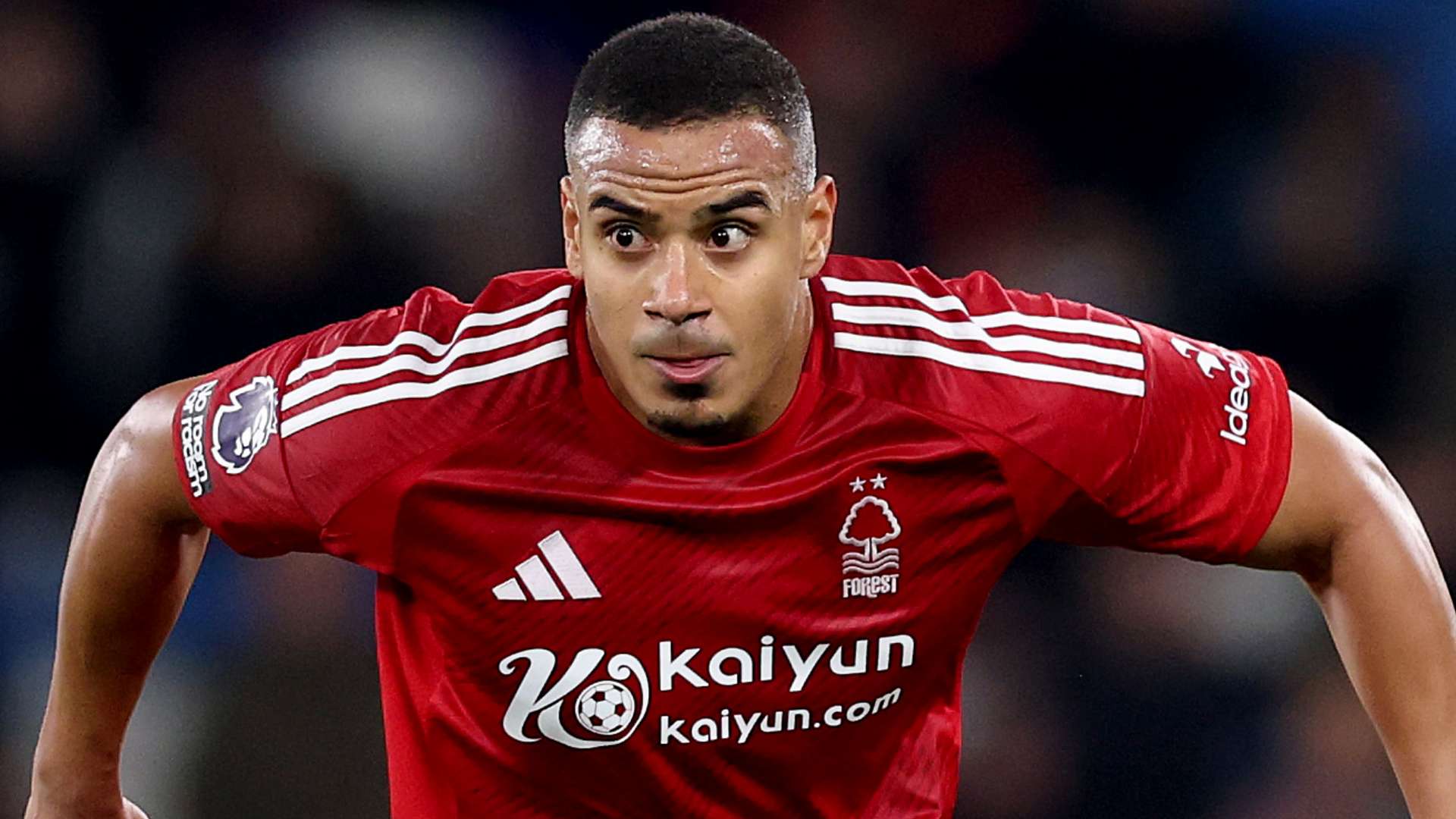 人们的参与 人们的参与