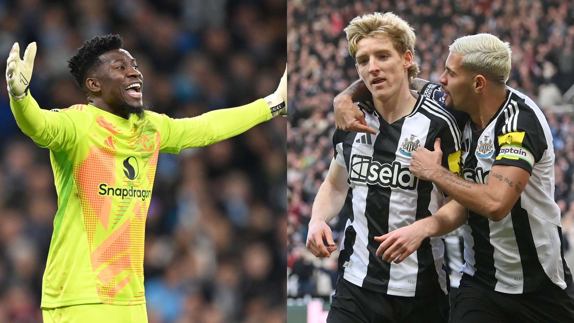 南洋杯新加 南洋杯新加