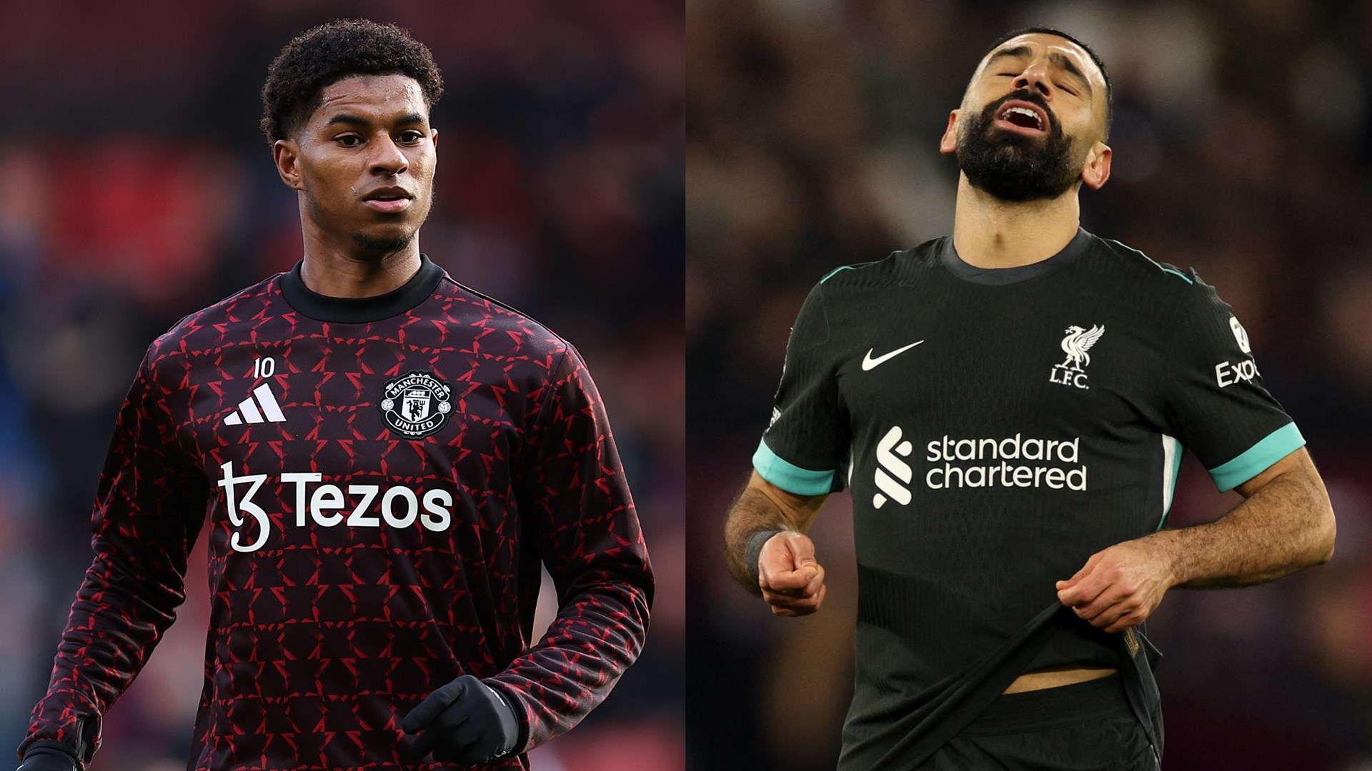 不僅征服了 不僅征服了