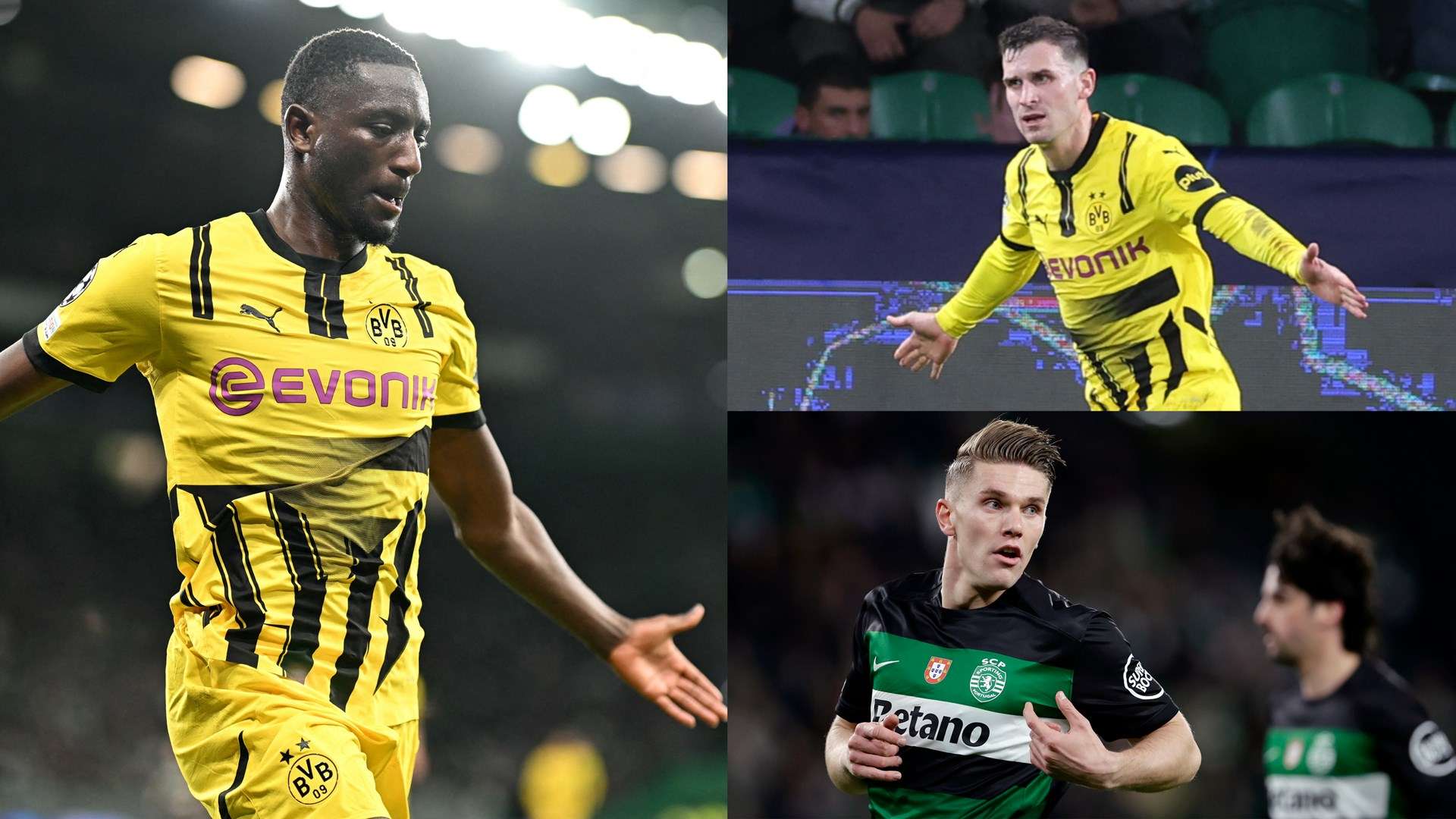 加成熟和强 加成熟和强